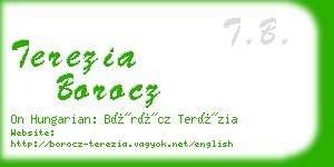 terezia borocz business card